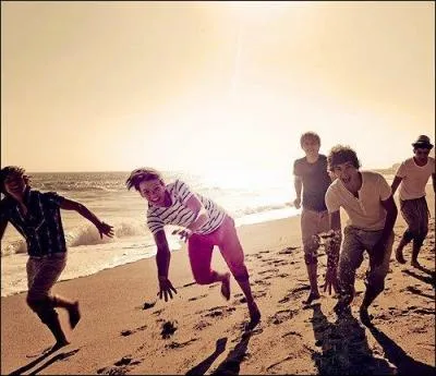 Qui a choisi le nom  One Direction  ?