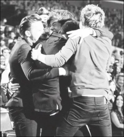 Comment s'appellent les fans des One Direction ?