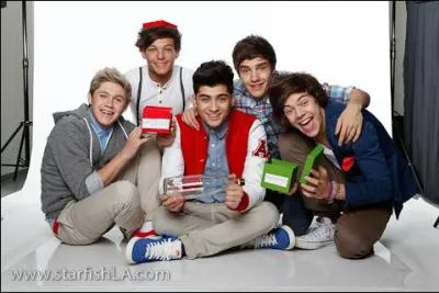 Lequel des membres n'est pas d'origine anglaise ?