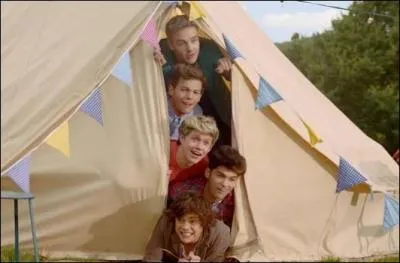 Quel groupe a souvent critiqu les One Direction ?