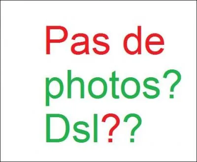 Pourquoi toutes les filles du chteau craquent-elles sur Ferb ? C'est en raison de :