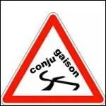 Comment conjuguer le verbe  mouvoir   la 1re personne du singulier du pass simple de l'indicatif ?