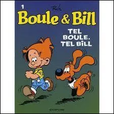 Voici Boule et Bill crs par Roba : Lequel est Boule ?
