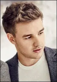 Quel ge a Liam Payne en 2013 ?