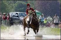 Je suis un obstacle de cross, je suis. .