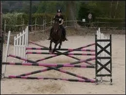 1)Srie de croisillons ? 2) double ?