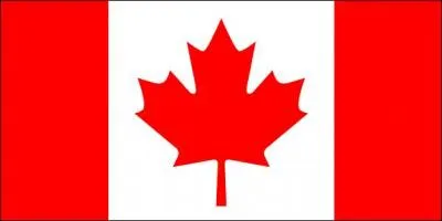 Ce drapeau est celui :