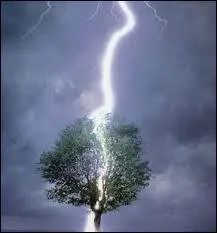 - parfois,  tombe sur un arbre,