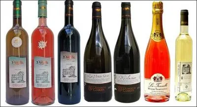 La Vend�e qui jusqu'� peu �tait pratiquement inconnue pour ses vins produit cependant quelques crus qui ne manquent pas de charme, lequel pourrez-vous d�guster ?