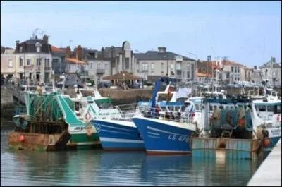 Quel poisson fit la richesse des Sables-d'Olonne au dix-septi�me si�cle ?