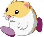 Ouah un hamster ! Mais qui est-ce ?