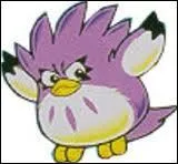 Une chouette ? Comment s'appelle-t-elle ?