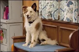 De quelle chane cette srie est-elle originaire ?