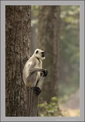 Retrouvez le nom de cette srie tlvise, dont l'action se passe   Cascade  !