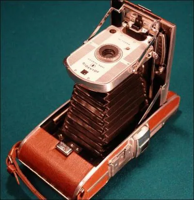 C'est grce  cette relique de muse que vous trouverez le proverbe, alors agrandissez l'image !