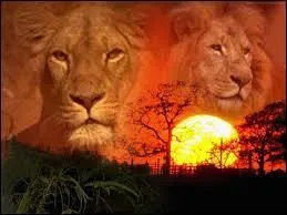 H20 ce droule en ...