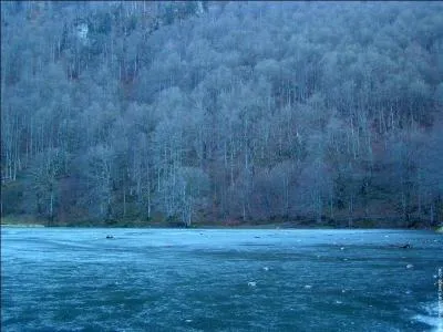 Qui se rfugie dans la chambre froide ?