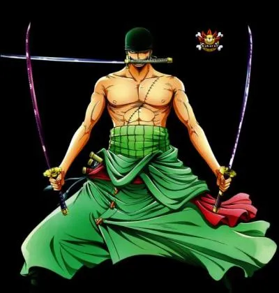 Quelle est la prime de Zoro dans le nouveau monde ?