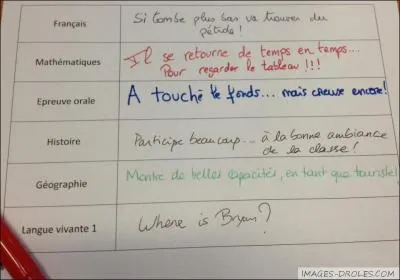 Si je dis  un anglais,  You're tall , qu'est-ce que je veux dire ?