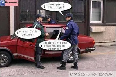 Quelles couleurs sont confondues par un daltonien ?