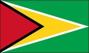 A quel pays appartient ce drapeau ?