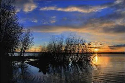 O est n Ross Lynch ?