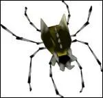 Combien y a-t-il de Skulltulas d'Or ?