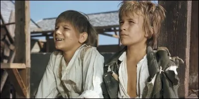 Quel fleuve américain longe Tom Sawyer et Huckleberry Finn dans "Les Aventures de Tom Sawyer et Huckleberry Finn" ?