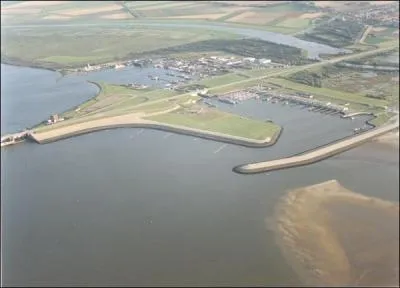 Les os de quels animaux sont pchs en grandes quantits au large de Stellendam aux Pays-Bas ?