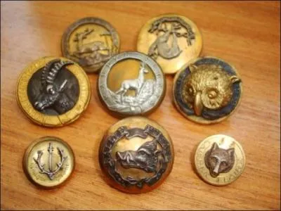 Comment s'appelle un collectionneur de boutons ?