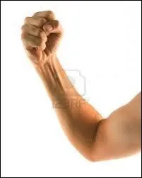 Le mot commence par : Co ...