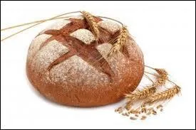 Le mot commence par : Co ...