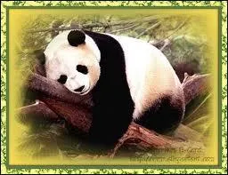 Quel est cet animal ?