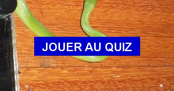 Quizz Pour qui sont ces serpents qui sifflent sur nos têtes - Quiz