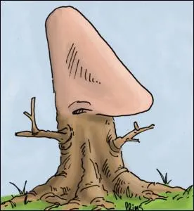 Ne pas rpondre au pif prouvera que vous avez du nez !