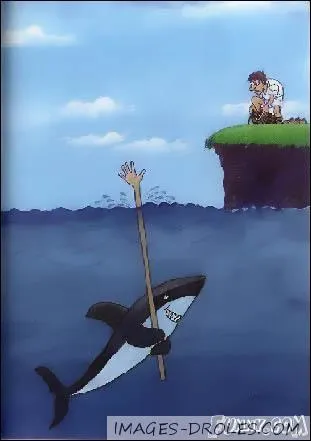 En 2012, o y a-t-il eu le plus d'attaques de requins ?