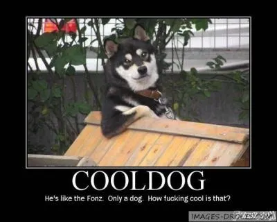 Traduisez le mot  Heureux  en anglais :