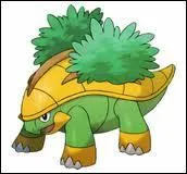 Quel est ce Pokmon ?