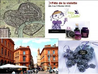  Ville rose  en raison de la couleur de la brique de terre cuite utilise dans la construction des btiments, cette  cit des violettes  est la capitale historique du Languedoc. C'est :