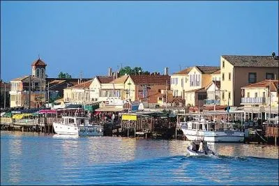 En 1964, un trsor a t trouv dans le fleuve Hrault. Ce remarquable bronze grec, reprsentant certainement Alexandre le Grand, a t choisi par les Agathois comme symbole de leur ville, la  cit de l'Ephbe . C'est :