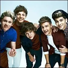 Combien sont-ils dans le groupe ?