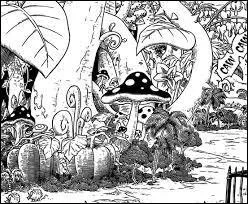 Sur quelle le habitent des nains ?