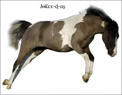 Comment doit-on se mettre quand on saute un obstacle ?