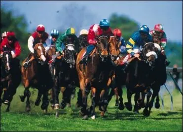 Pour faire avancer ton cheval tu ...