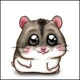 Qu'est-ce qui est reprsent sur cette photo ?