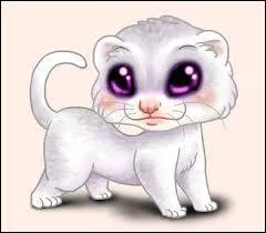 Qu'est-ce qui est reprsent sur cette photo ?