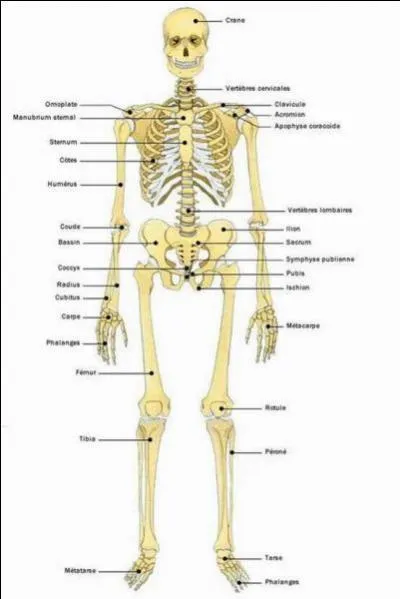 Cette jeune femme est tudiante  l'universit d'Heidelberg en Allemagne. Quelle spcialit tudie-t-elle ?