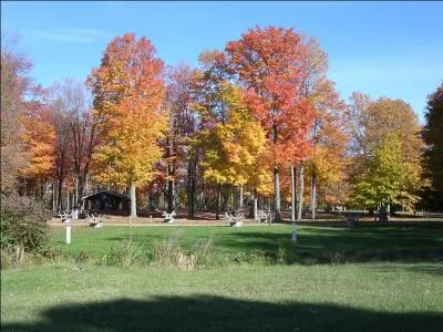 O se situe le seul camping de Paris ?