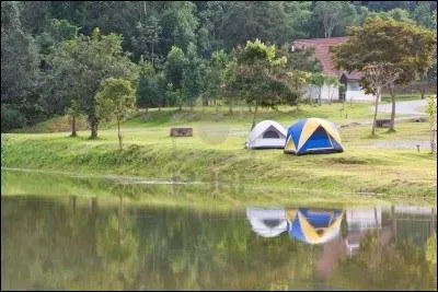 Quelle romancire a crit dans le volume de ses Mmoires  La force de l'ge  :  Je dcouvris le camping. J'tais toujours mue le soir, quand j'apercevais les tentes dresses sur l'herbe d'un pr ou sur la mousse d'une chtaigneraie  ?
