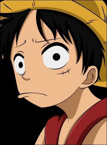 Commenons par le personnage le plus dbile de tous les temps ! Qu'est-ce que l'quipage de Luffy est toujours oblig de faire pour l'empcher de faire des btises ?